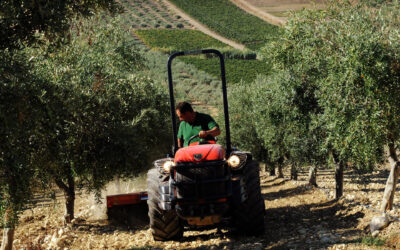 ¿Cómo elegir un tractor agrícola? Principales consejos